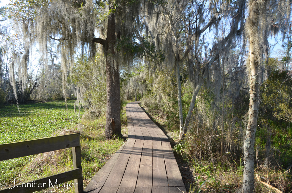 There's a long boardwalk hike through the bayou.