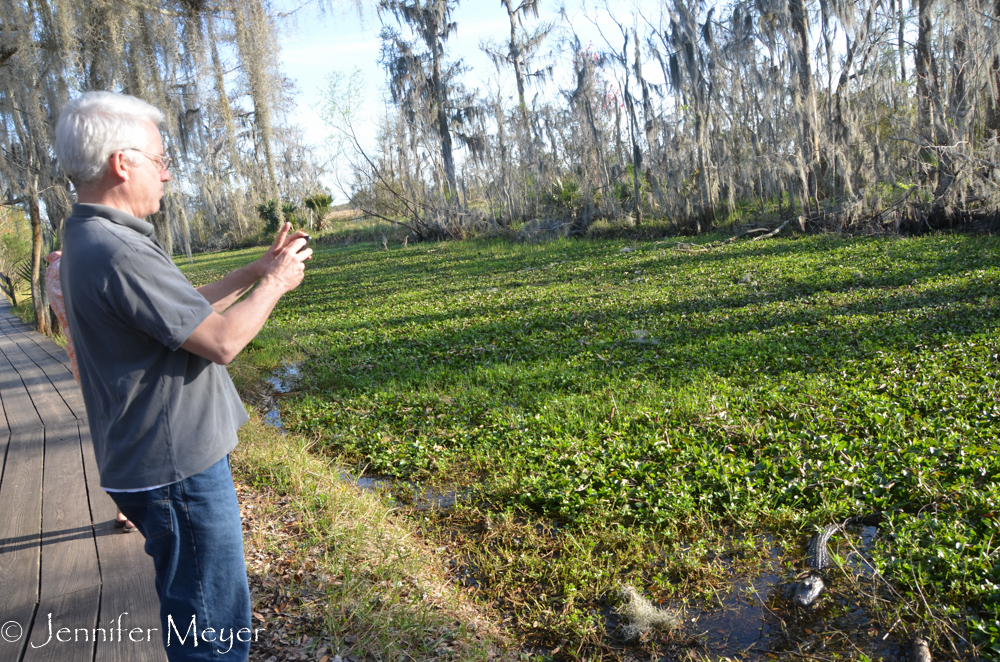 They were just a few feet away.