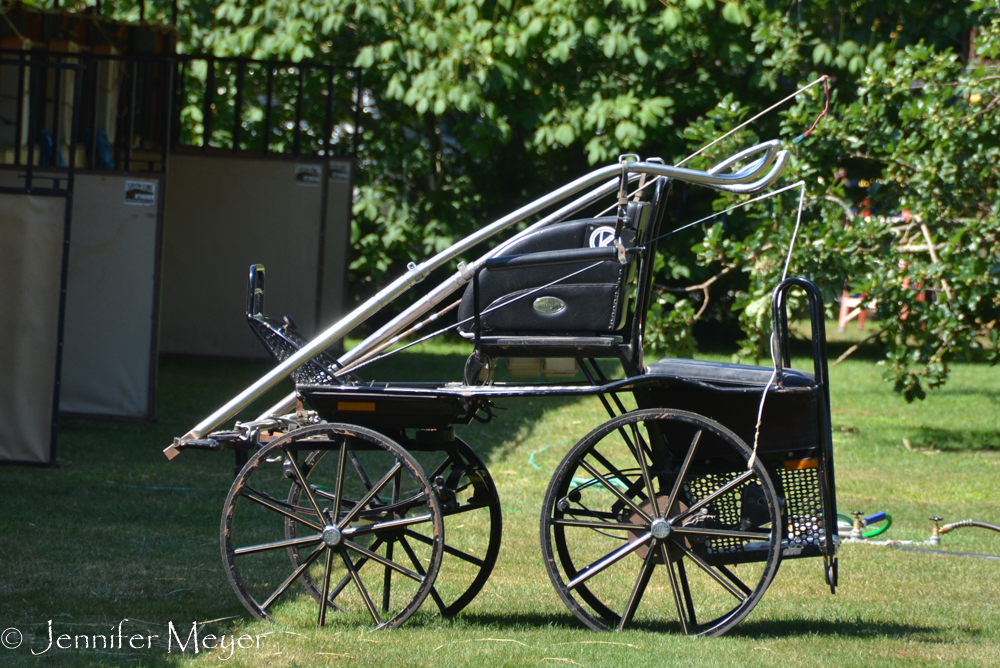 ...and rode period buggies and coaches through the town.