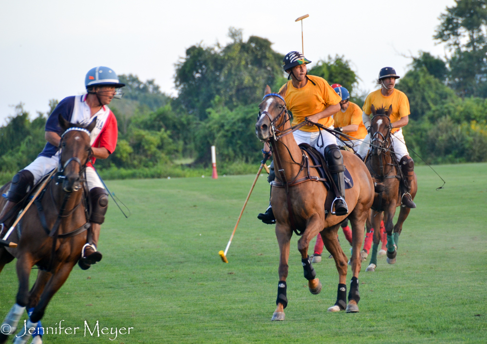 I'd never seen polo played before.