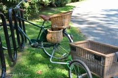 I loved this bicycle and its woven baskets!