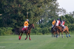 I walked back with my camera and got to watch this polo match.