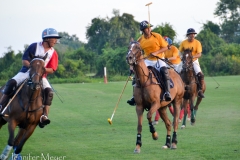 I'd never seen polo played before.