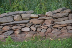 Rock fences abound in the area.