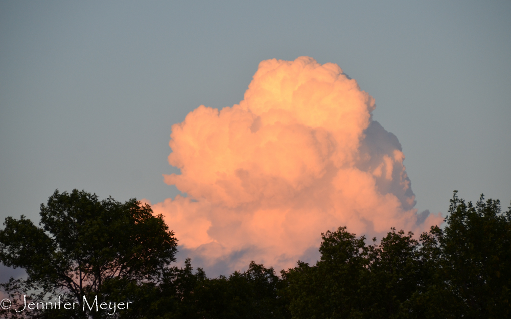 Pink cotton candy cloud.
