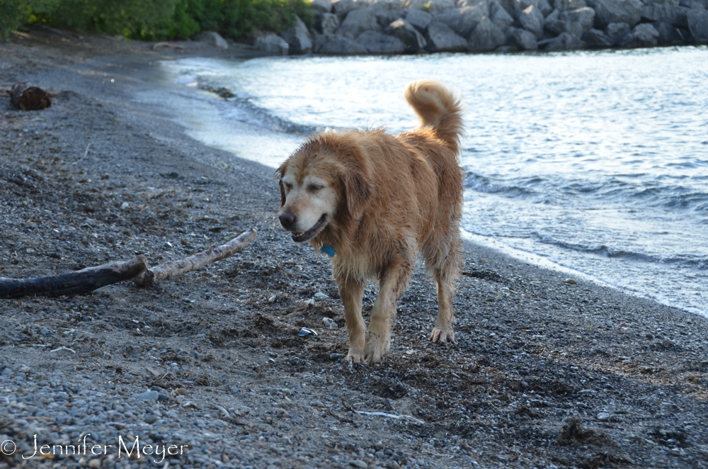 Bailey got to swim to her heart's content.