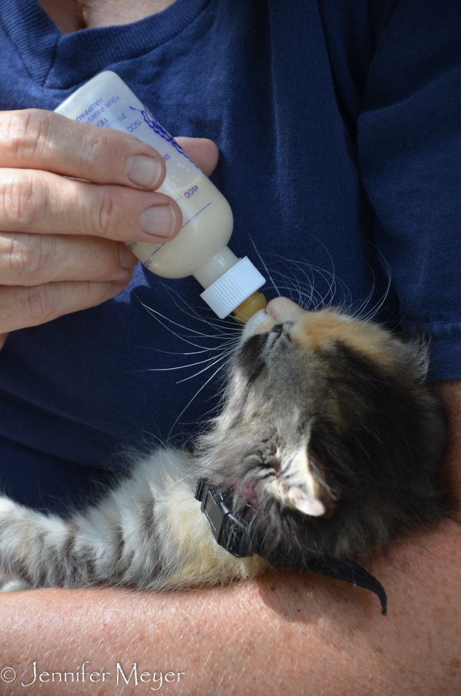 She's still drinking a bottle.