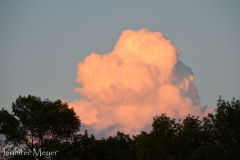 Pink cotton candy cloud.