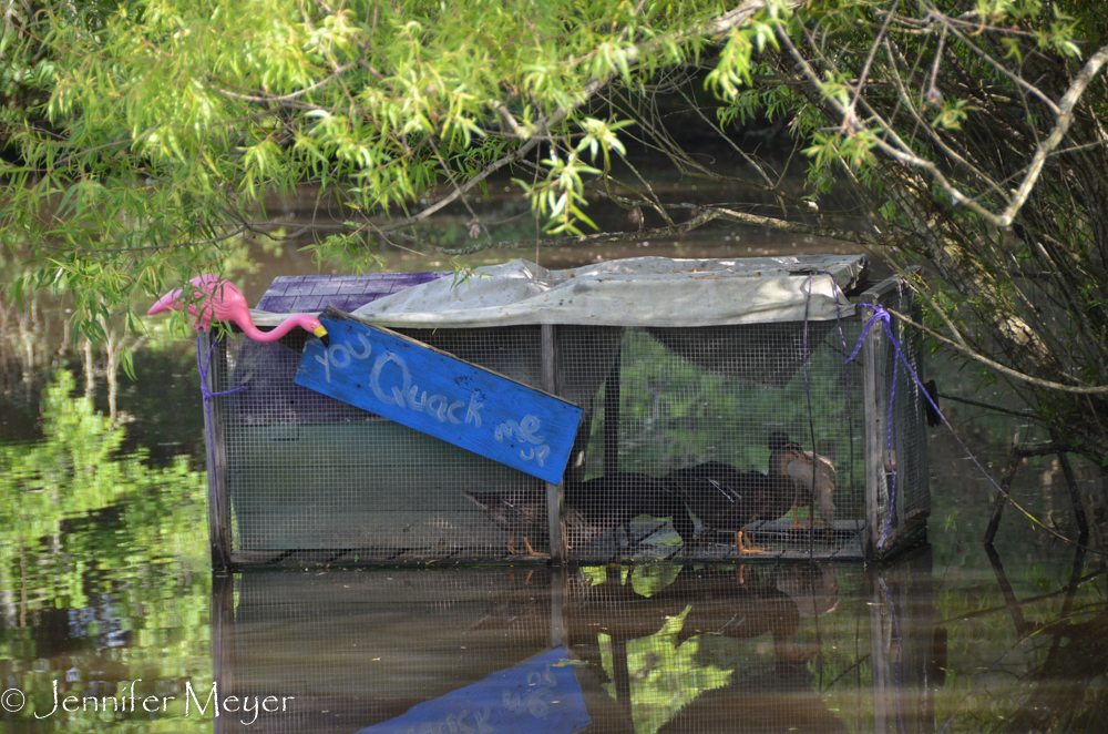 Floating duck condo.