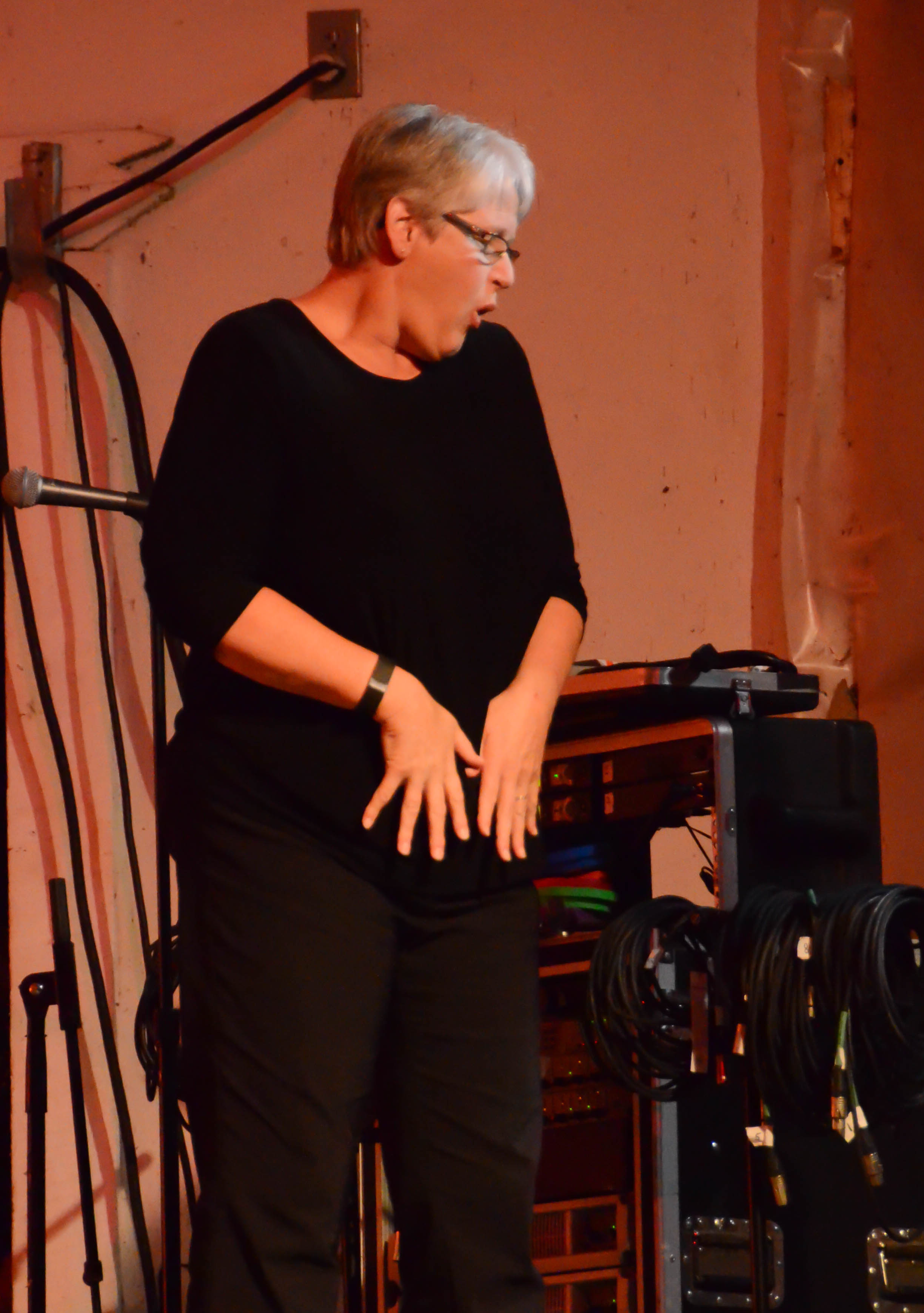 The interpretter signing "Fever."