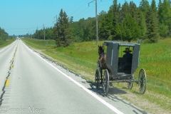An Amish buggy near the border.