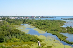 A wetlands preserve on the Canada side.