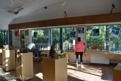 There's a great museum at the Lake Superior Visitor Center next to our campground.