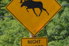 We saw so many signs, but no real moose.