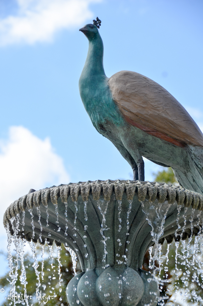 Peacock fountain.