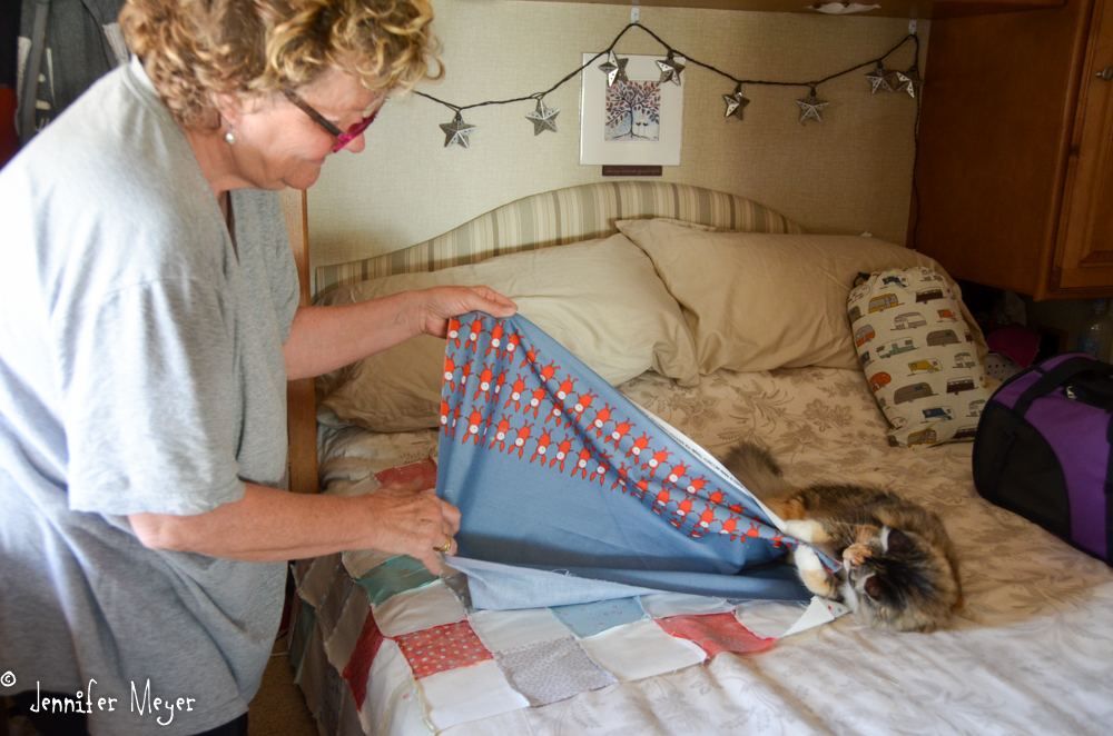 Gypsy likes the quilt Kate is working on.