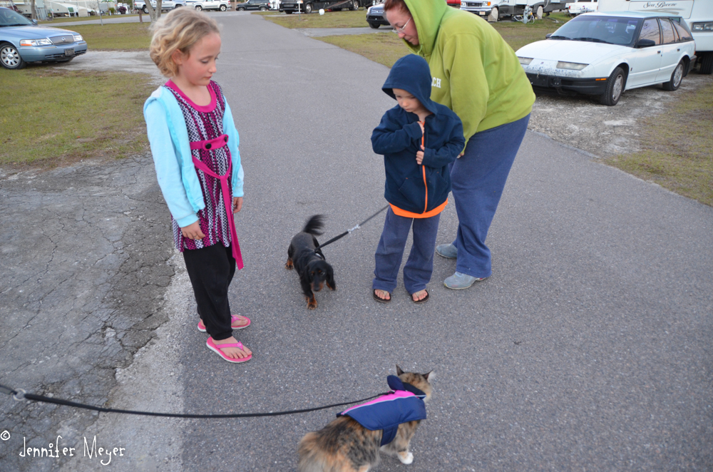 Meeting a dachsund pup.