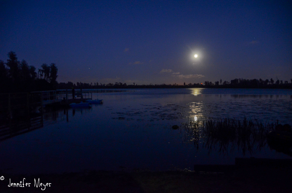 I went to the campground lake to see the moonrise.