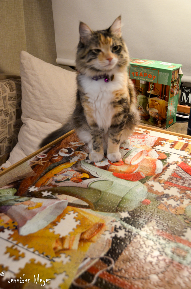 Gypsy wanted to help with the puzzle.