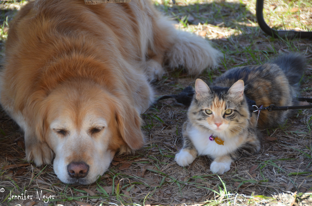 On a warmer day, relaxing outside.