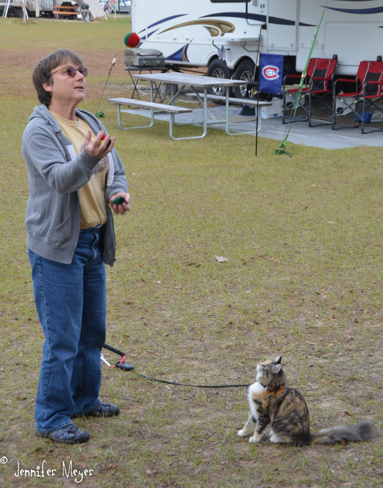 Gypsy intently watched me juggle for 10 minutes straight.