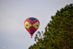 One morning, I saw this balloon flying nearby.