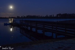 Moonlight on a fisherman.