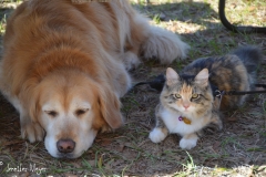 On a warmer day, relaxing outside.