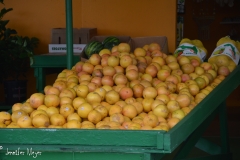 Grapefruit at a fruit stand.