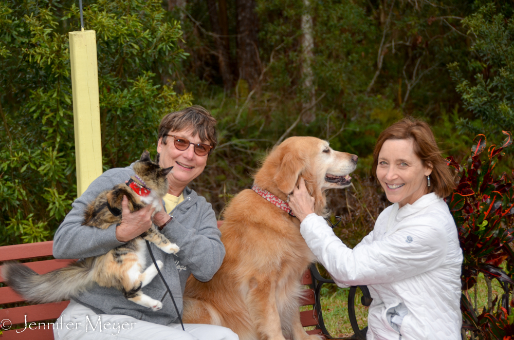 We took Bailey and Gypsy out for a walk.