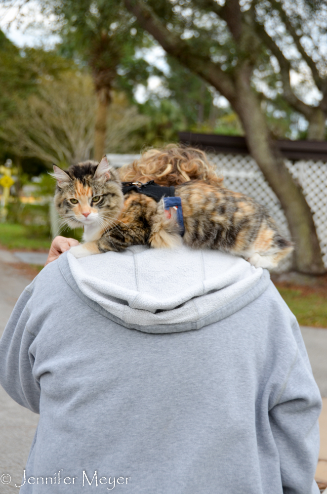 Sometimes she prefers a lift.