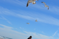Beth got this shot of me and the birds.