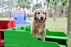 Bailey liked the playground.