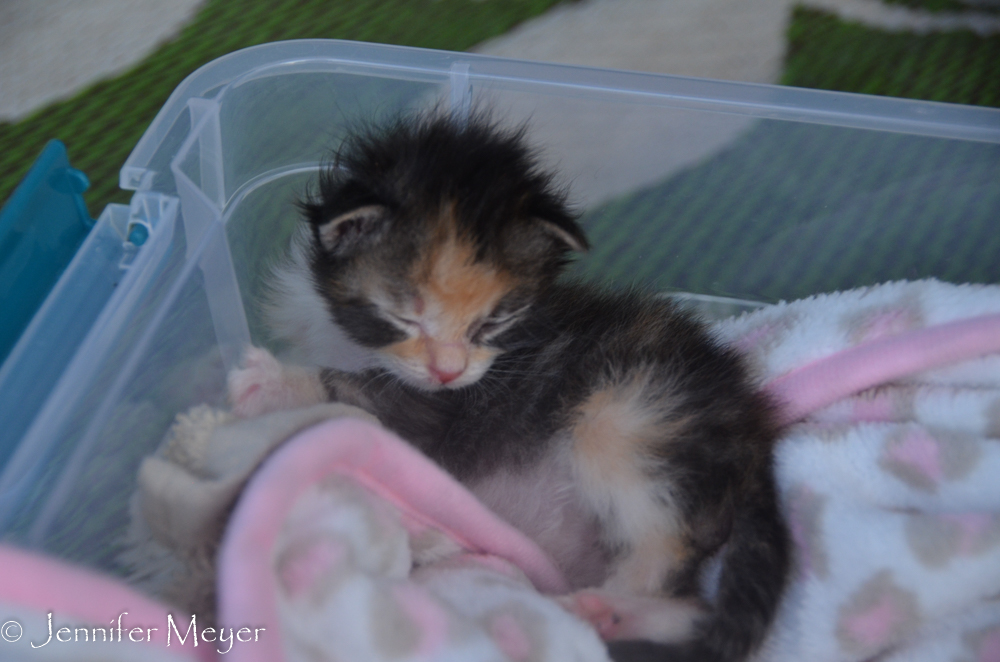 Waking up from a nap.