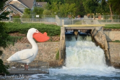 The giant pelican is a town landmark.