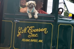 Tiny dog in an old truck.