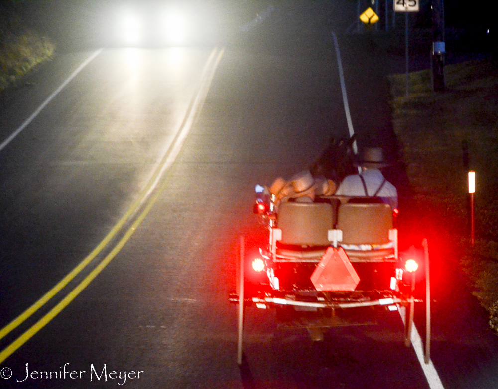 We passed a few buggies on the road.