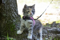 She got a little walk before we left.