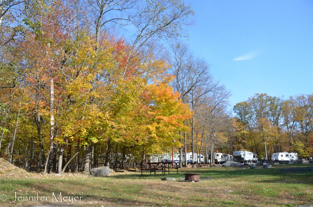 Lots of trailers, but most were closed up for the season.