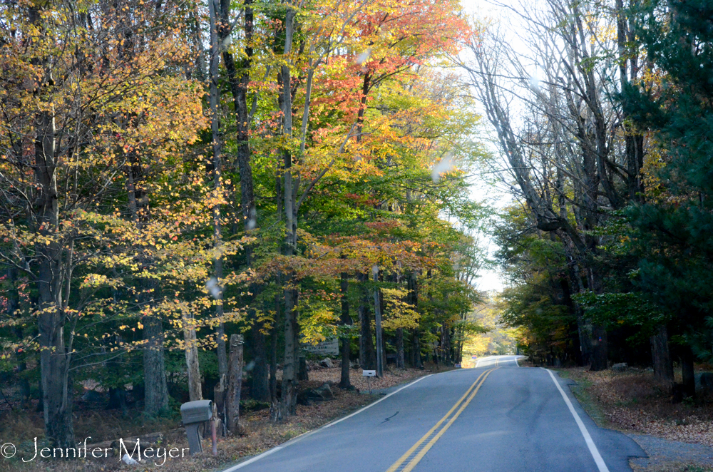 Driving through the Poconos was beautiful.