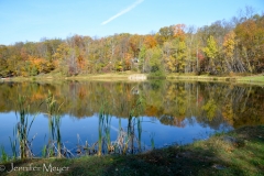 The lake was deserted.