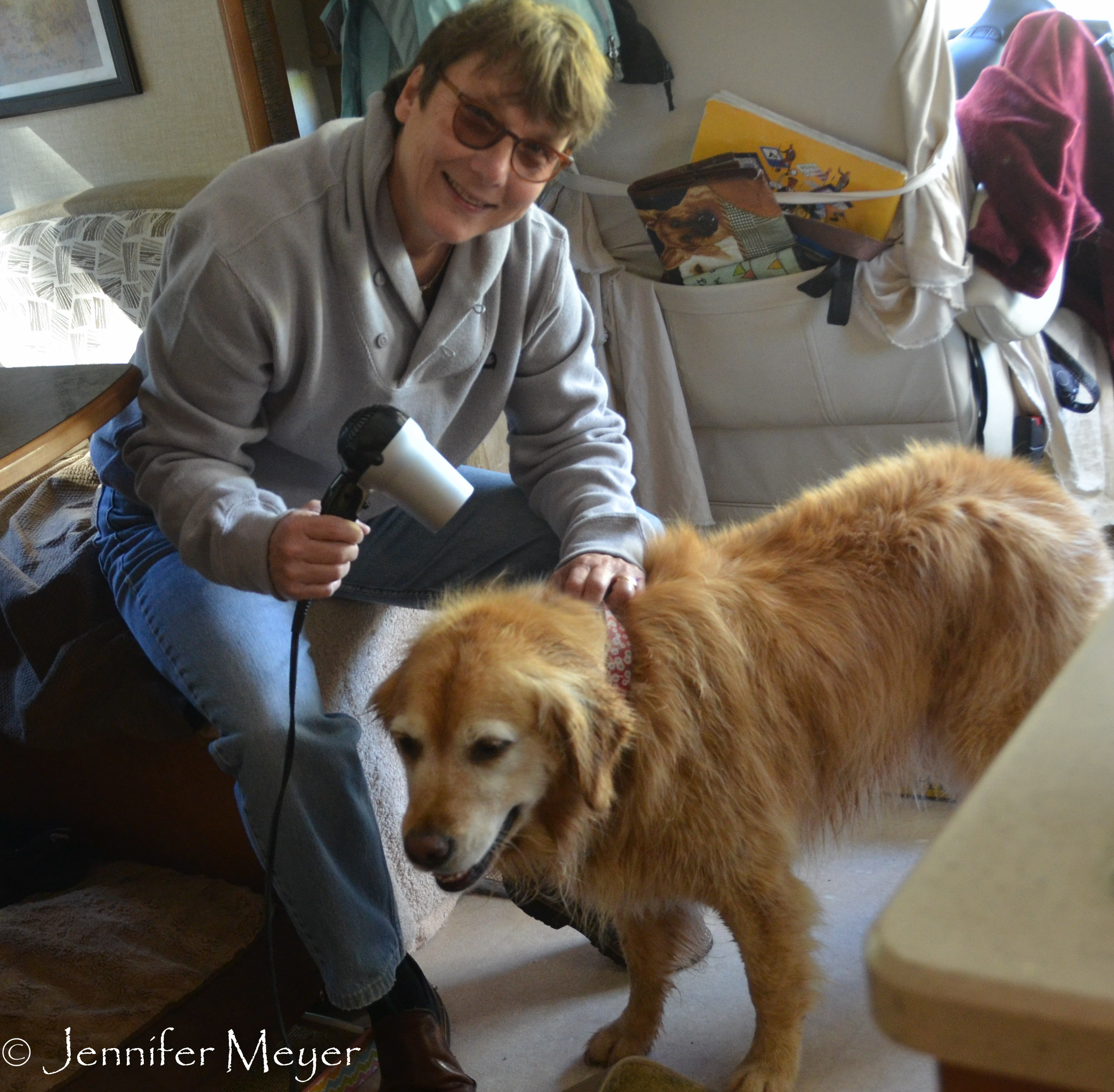 Bailey gets a blow-dry.