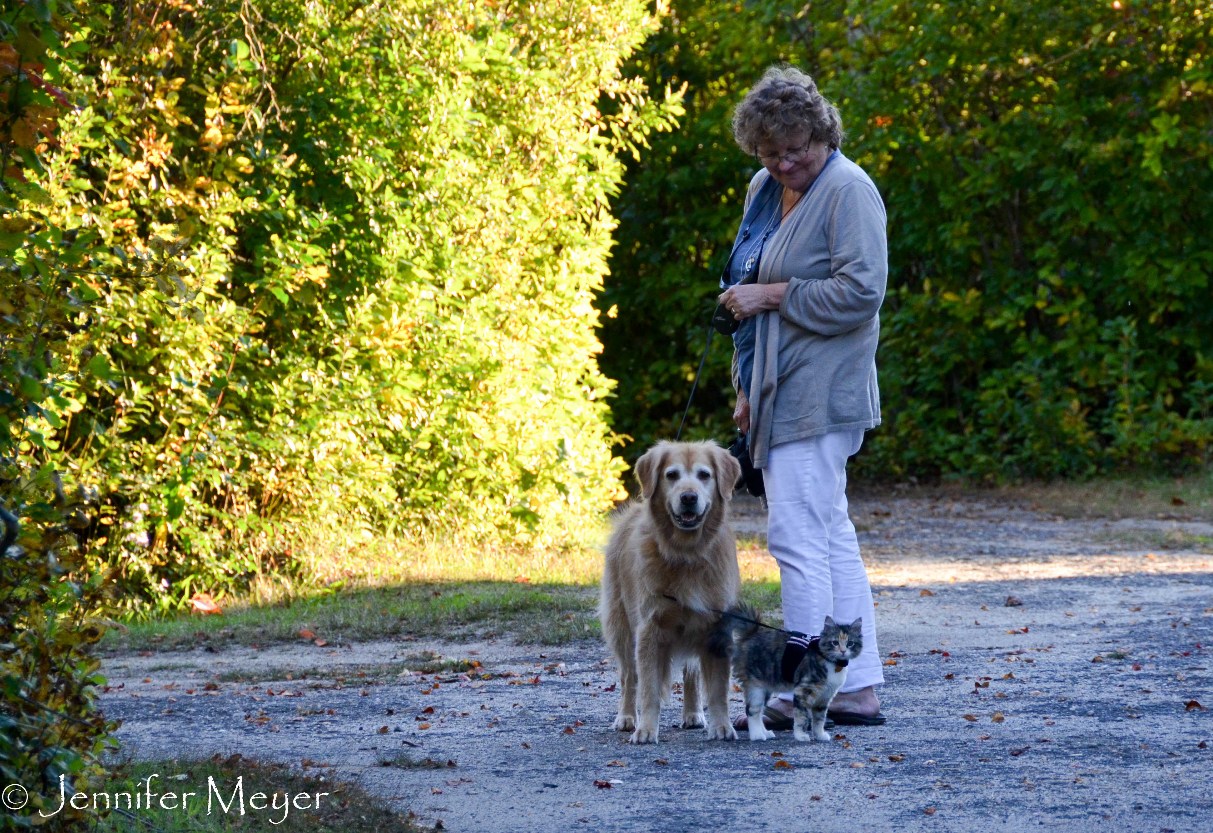 We were out walking the kids one evening.