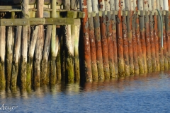 Colorful pilings.