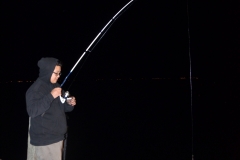 Others were fishing right off the pier.