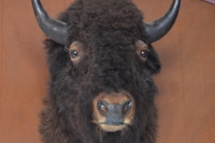 I don't remember all the stuffed heads.