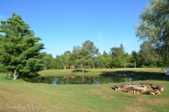 The fire pit is new.