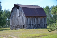 Cool old barn.
