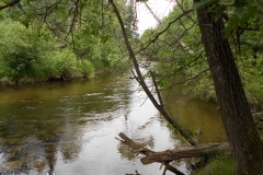 The driver dropped us up river 2 miles.