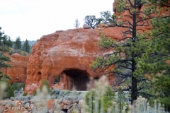 Here you can see both arches, or "tunnels."